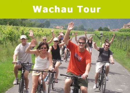 Wachau Winery Bike Tour