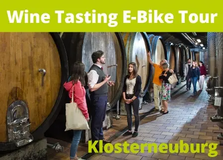 Wine Tasting E-Bike Tour